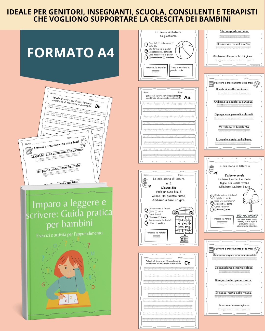 Kit del Primo Docente: SoluzionI per l'Apprendimento Essenziale